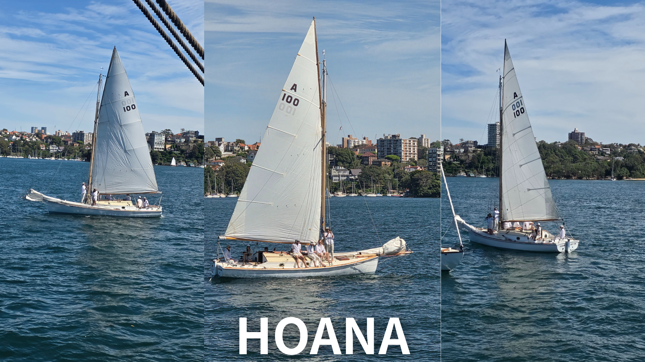 Hoana Turns 100: A Maritime Celebration with Harry West Flags