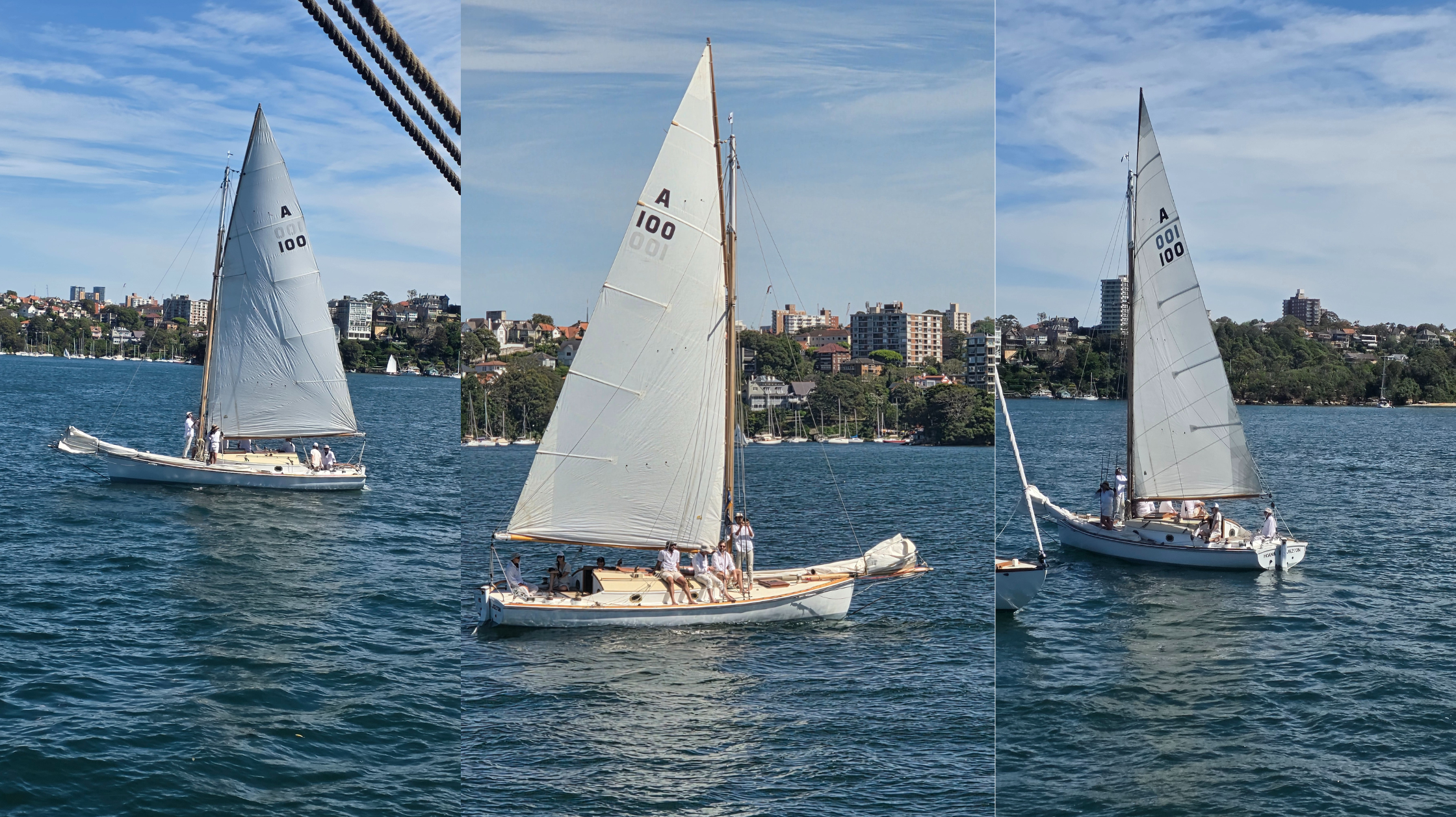 Hoana Turns 100: A Maritime Celebration with Harry West Flags