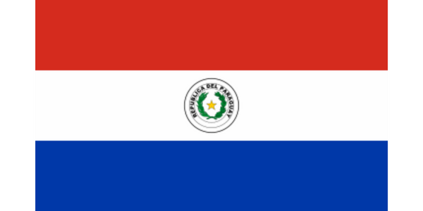 Paraguayan Flag 
