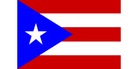 Puerto Rican Flag