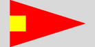 Fourth Substitute Code Flag