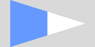 Second Substitute Code Flag