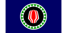 Bougainville Flag