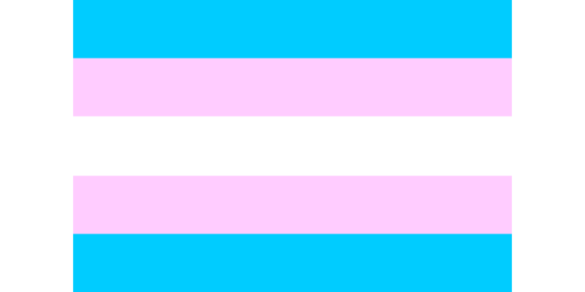 Transgender Flag