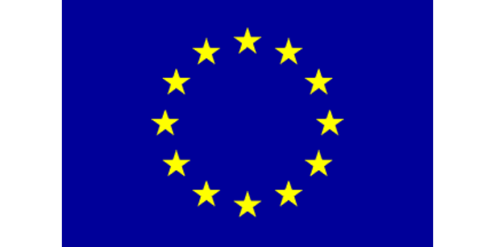 European Union Flag
