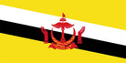 Bruneian flag