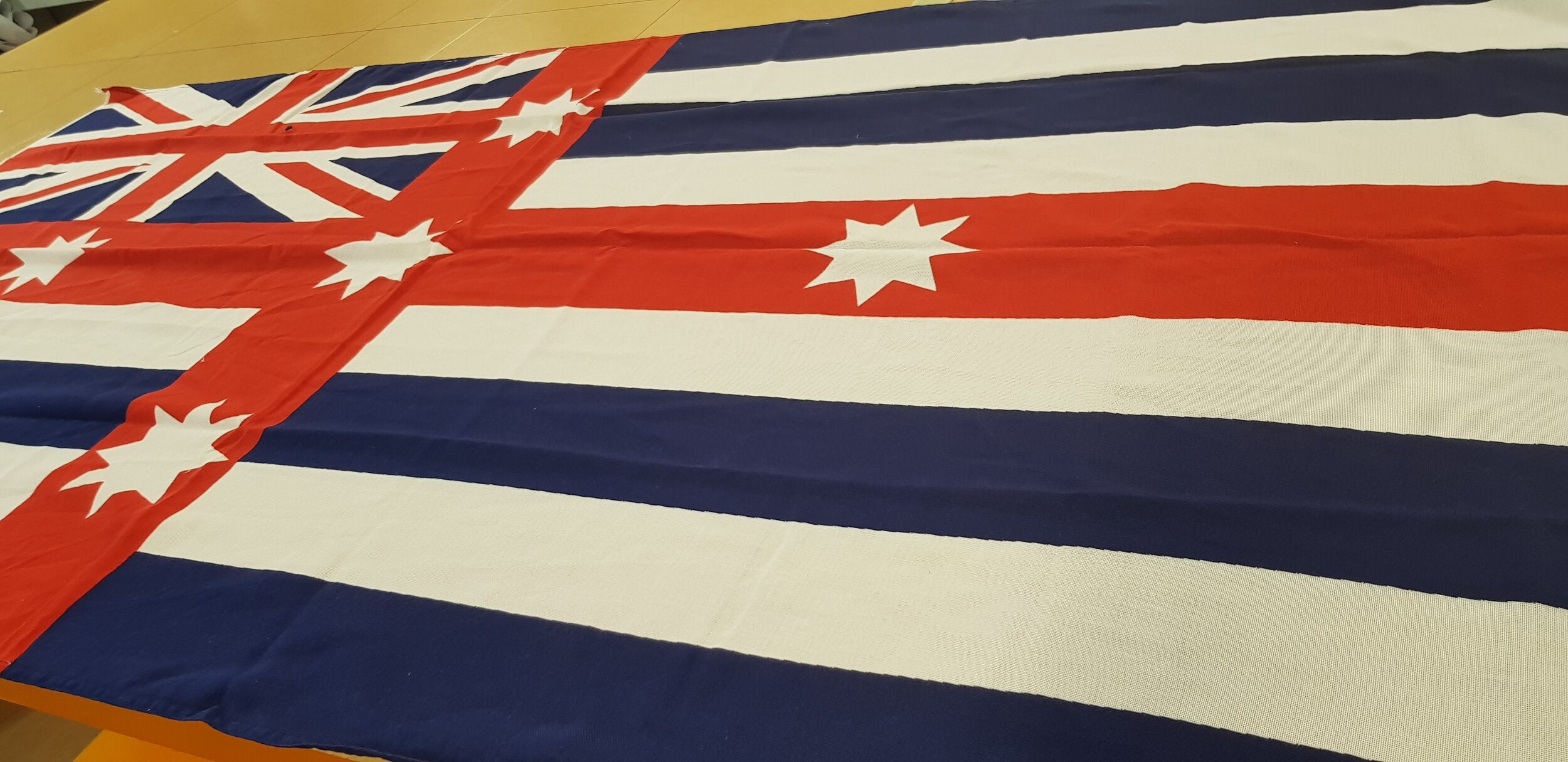 Combined Murray River Flag