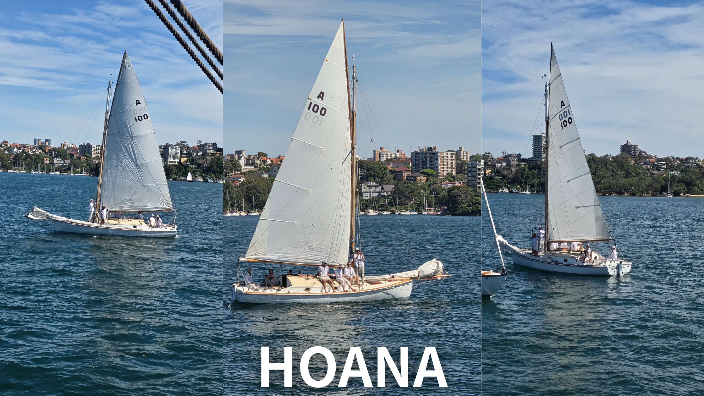 Hoana Turns 100: A Maritime Celebration with Harry West Flags