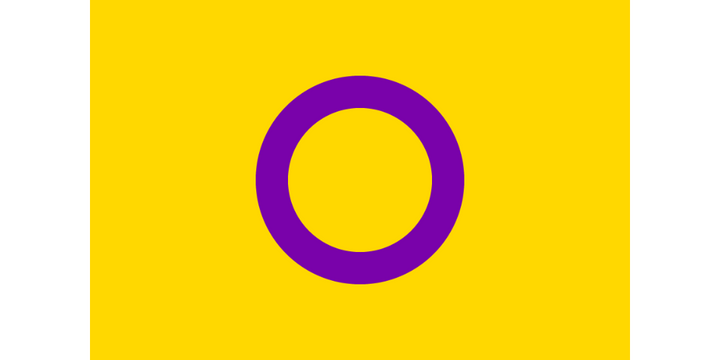 Intersex pride flag