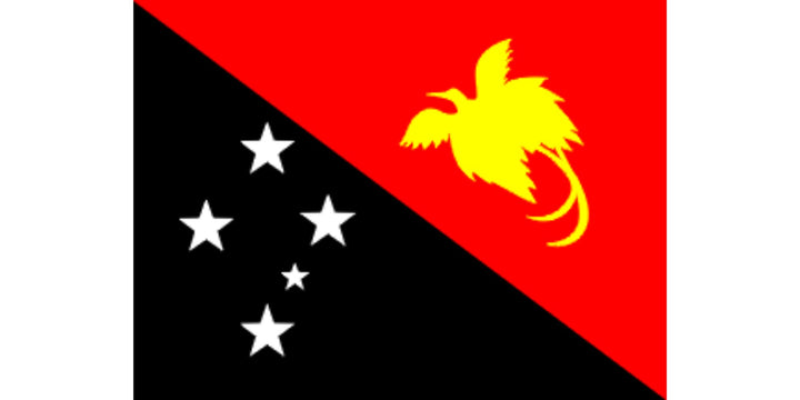 Papua New Guinean Flag 