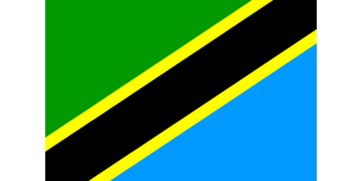 Tanzanian Flag 
