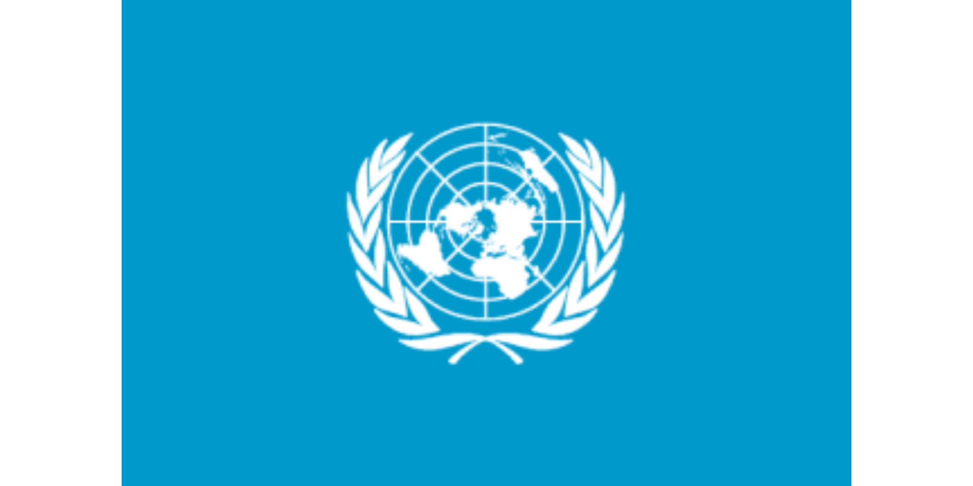 United Nations Flag