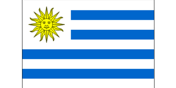 Uruguayan Flag 