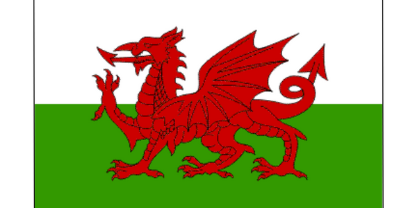 Welsh Flag 