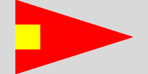 Fourth Substitute Code Flag 