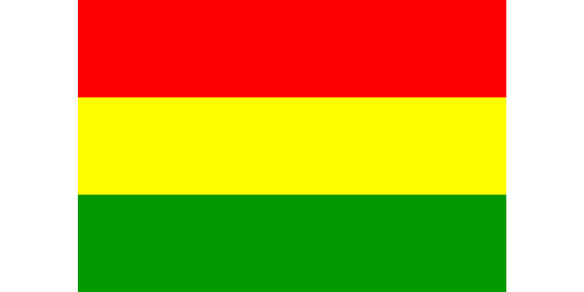 Bolivia National Flag – Harry West Flags