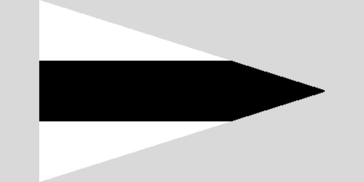 Third Substitute Code Flag 