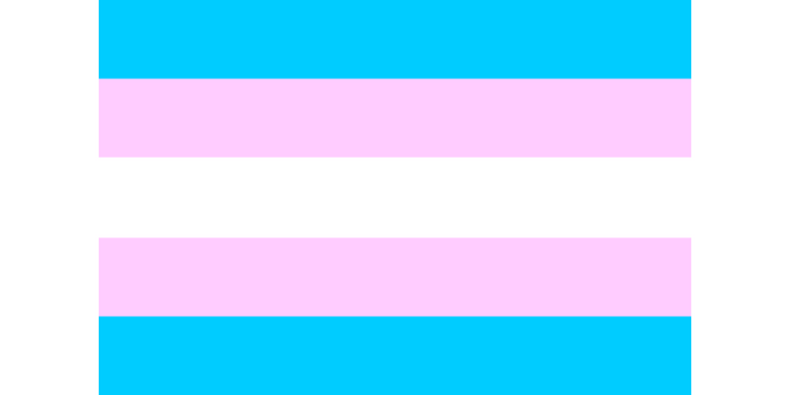 Transgender Flag