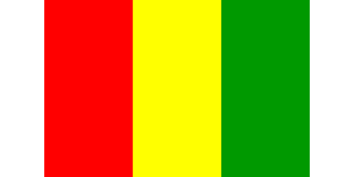 Guinean Flag 