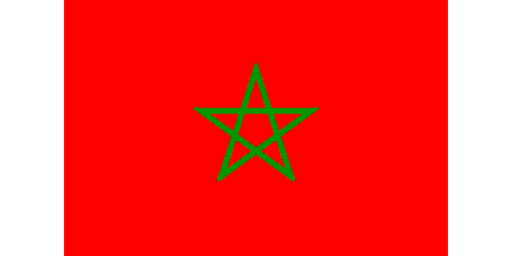 Moroccan Flag 