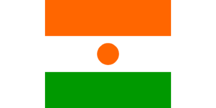 Nigerien Flag 