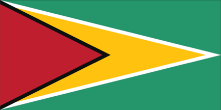 Guyanese flag