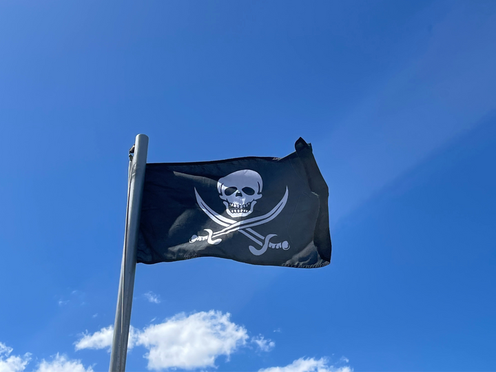 Pirate flag flying on pole